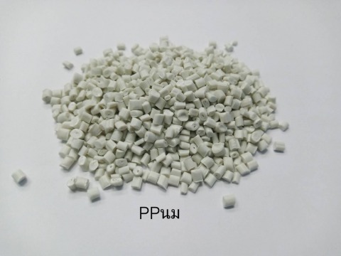 PPขาวนม